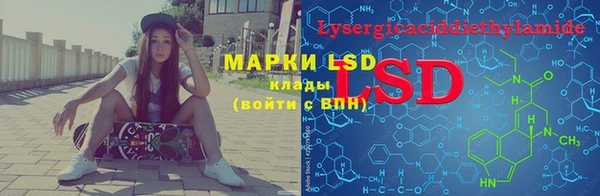гидропоника Елабуга