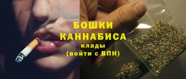 стафф Ельня