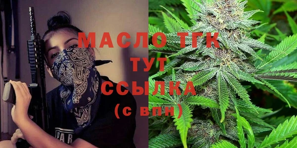 стафф Ельня