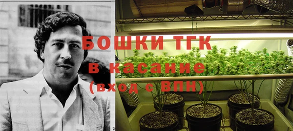 гидропоника Елабуга
