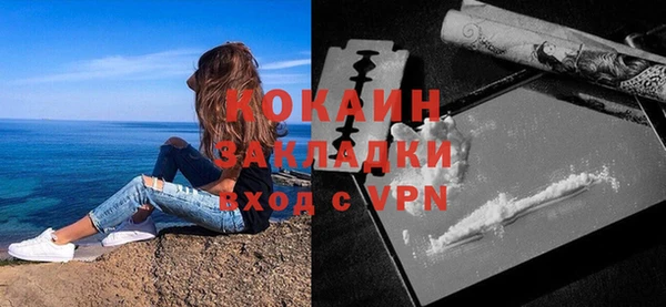 стафф Ельня