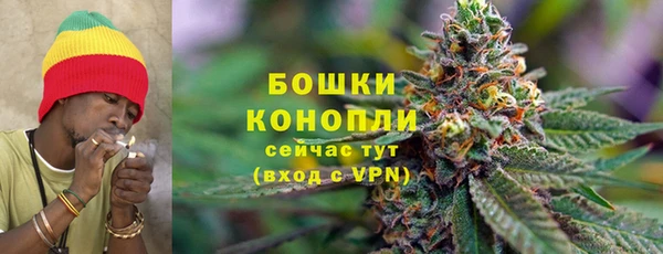 стафф Ельня