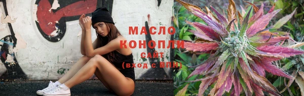 гидропоника Елабуга